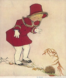 Mr Prickles by Muriel Dawson Mr Prickles by Muriel Dawson