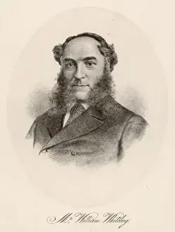 Whiskers Prints: Mr William Whiteley