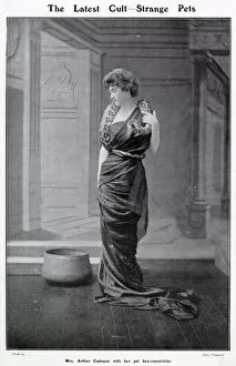 Mrs Arthur Cadogan with her pet boa-constrictor