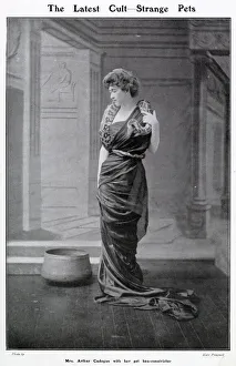 Wrapped Collection: Mrs Arthur Cadogan with her pet boa-constrictor