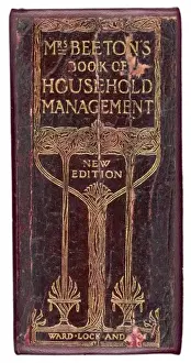 MRS BEETONs SPINE 1907
