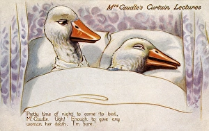 Mrs Caudles Curtain Lectures - Mr Caudle late to bed Mrs Caudles Curtain Lectures - Mr Caudle late to bed