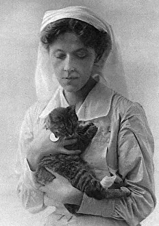 Kitten Collection: Mrs Congreve, wife of a VC and mother of a VC