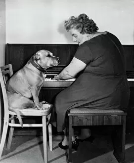 Pianist Gallery: Mrs Mills, celebrity pianist, with dog