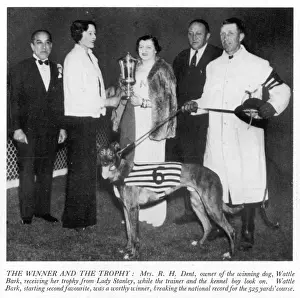 Dent Prints: Mrs R. H. Dent with the Greyhound Derby trophy and Wattle Bar