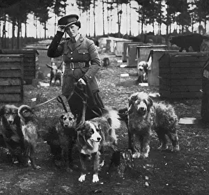 Messengers Prints: Mrs Richardson and her dog pupils, WW1