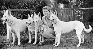 Alsatians Gallery: Mrs Thelma Gray, dog breeder