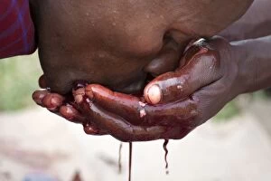 Images Dated 15th February 2011: Msai Tribesman - drinking Goats blood during