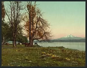 Hood Collection: Mt. Hood from the Columbia River
