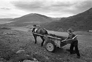 Spreading Gallery: Muck cart, Cantabria, Spain - 2