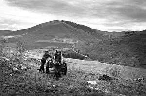 Spreading Gallery: Muck cart, Cantabria, Spain - 3