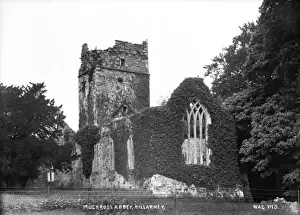 Muckross Prints: Muckross Abbey, Killarney