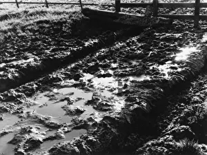Muddy Country Lane