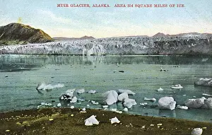 Muir Prints: Muir Glacier, Alaska, USA