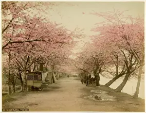 Mukojima, Tokyo