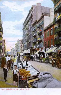 Mulberry Street, New York City, USA