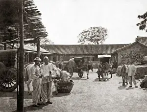 Mule carts, China, circa 1880s