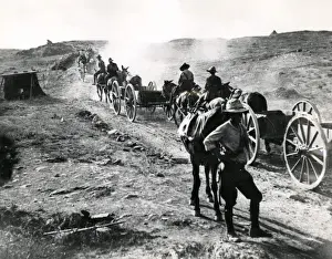 Mule Prints: Mule-drawn British limbers near Salonika, WW1