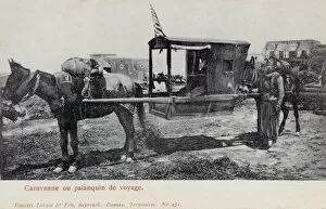 Mule-drawn Palanquin (Sedan Chair) - Tourist occupant
