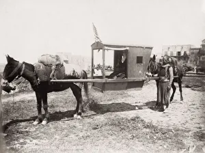 Mule drawn palanquin, sedan chair, carrying chair, Egypt