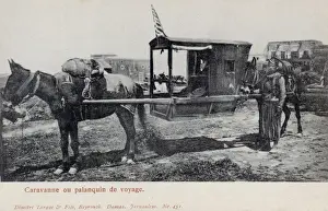 Palanquin Prints: Mule-drawn Palanquin (Sedan Chair) - Tourist occupant