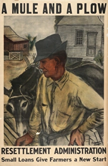 A mule and a plow - Resettlement Administration - Small loan A mule and a plow - Resettlement Administration - Small loan
