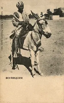 Mule Rider - Cairo, Egypt