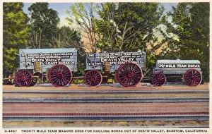 Twenty mule team wagons used for hauling borax