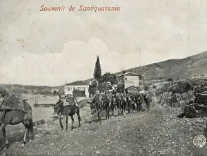 Santi Prints: Mules being led from Santi Quaranta to Ioannina