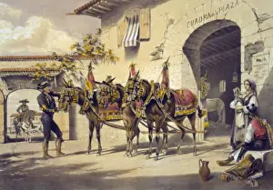 Toros Prints: Mules of the Plaza de Toros