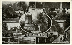 Torbay Collection: Mulitiview, Cockington, Torbay, England