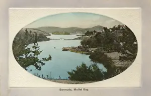 Mullet Prints: Mullet Bay, Bermuda
