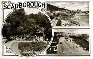 Multi View, Scarborough, Yorkshire