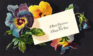 Variegated Prints: Multicoloured pansies on a Christmas card
