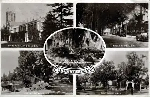 Multiview Prints: Multiview, Cheltenham, Gloucestershire