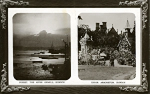 Arboretum Collection: Multiview, Ipswich, Suffolk