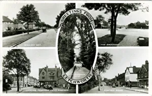 Hertfordshire Gallery: Multiview, Letchworth Garden City, Hertfordshire