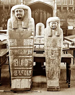 Mummy Prints: Mummies in the Cairo Museum, Egypt, Victorian period