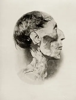 Mummified head of Egyptian Pharaoh, Ramses II