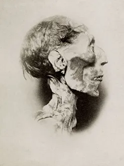 Mummified head of King Ramses Ramesses II