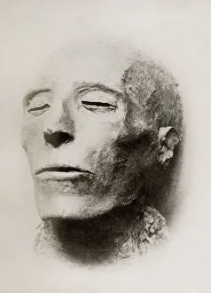 mummified head of King Seti I, pharaoh