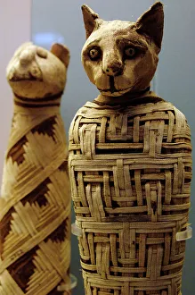 Mummified Prints: Mummy of a cat. Egypt