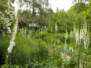Munstead Wood and Gardens - home of Gertrude Jekyll