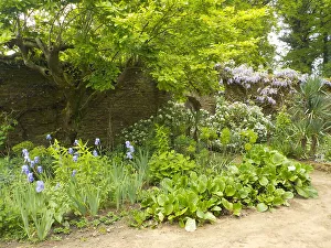 Munstead Wood and Gardens - home of Gertrude Jekyll