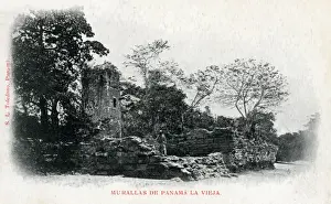 Murallas panama life