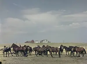 Murdo rodeo - South Dakota