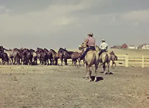 Murdo rodeo - South Dakota