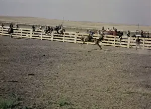 Murdo rodeo - South Dakota