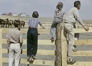 Murdo rodeo - South Dakota