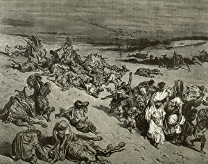 Disease Gallery: The Murrain of Beast. The Fifth Plague: Livestock Disease. E